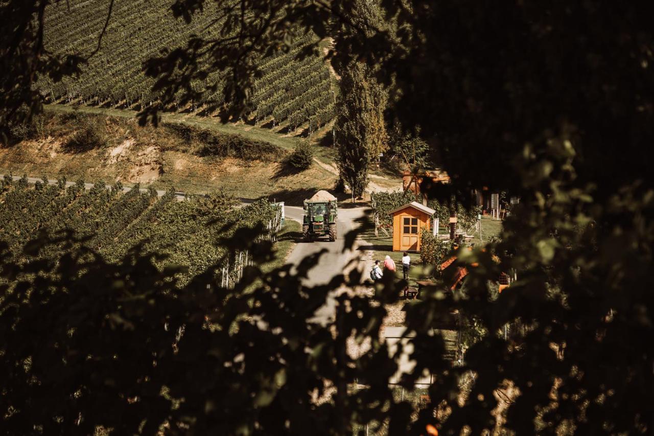Willa Weingut Kollerhof Am Eichberg Leutschach Zewnętrze zdjęcie